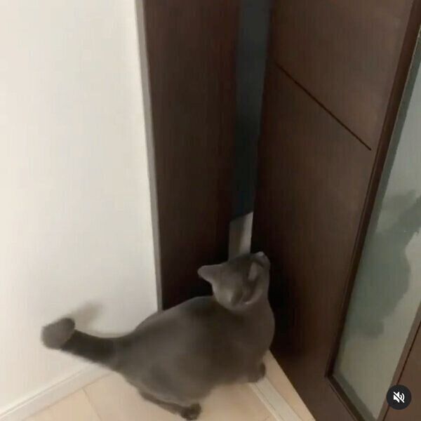 ドアの隙間から出るるなちゃん