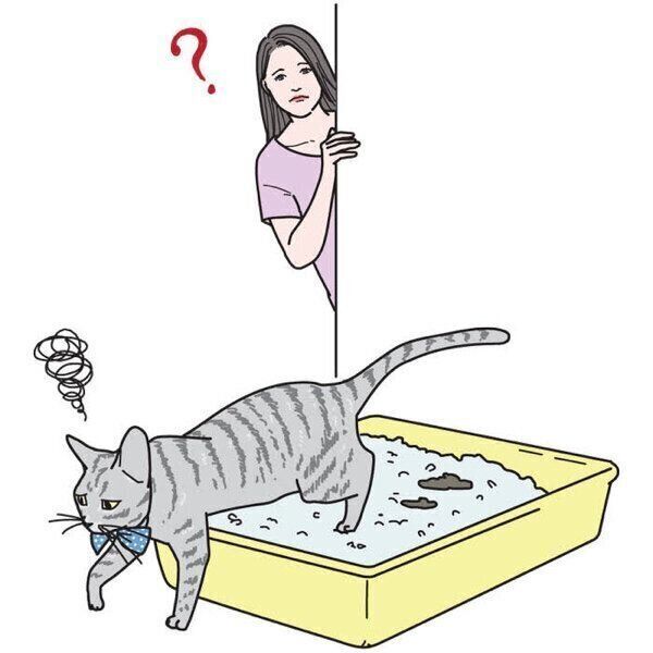 下痢をする猫