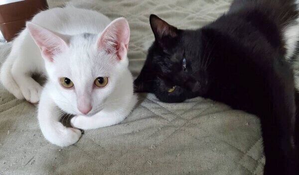 いちちゃんとの2ショット