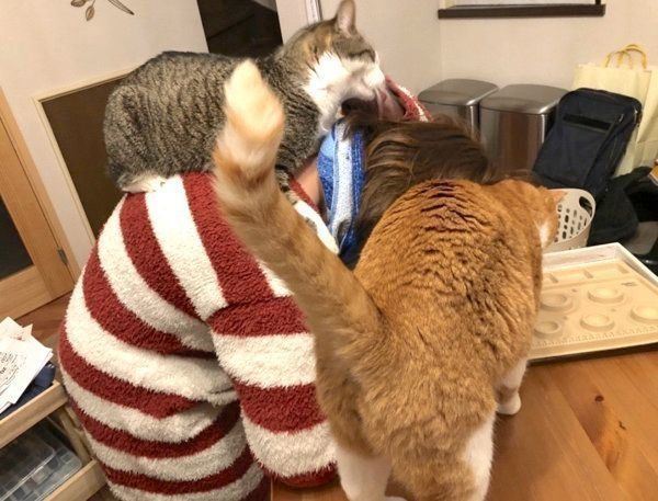 肩に乗ることちゃんと、スリスリするマナくん