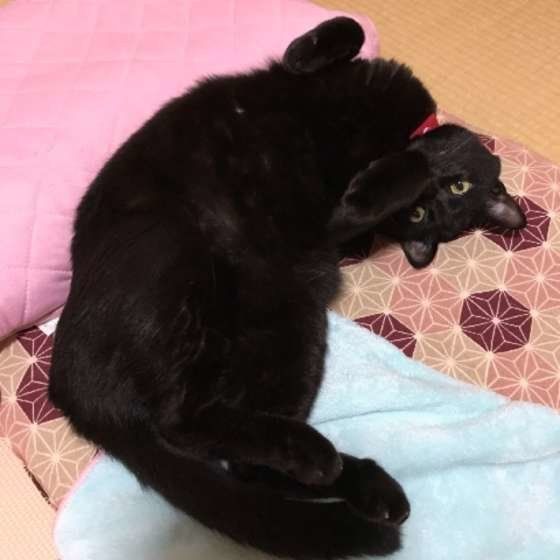 ころんと転がる優太くん