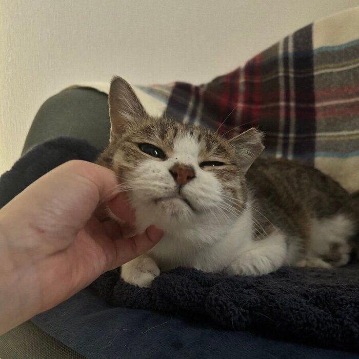 あごをなでてもらうぽぬちゃん