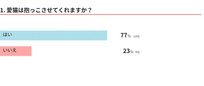 愛猫は抱っこさせてくれる？