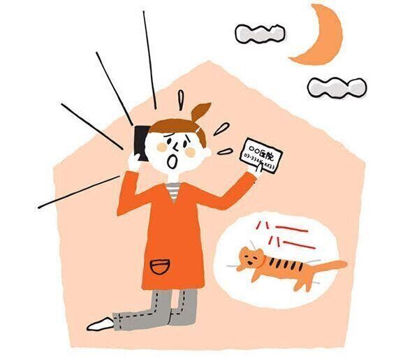 イラスト/山村真代