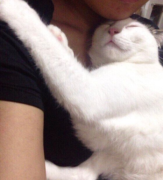 嬉しそうなはなちゃん