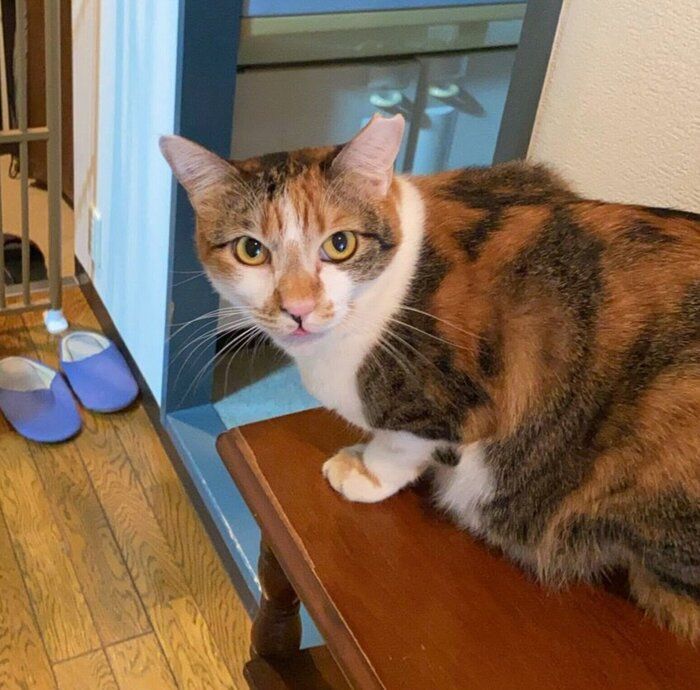 「おしりトントン」待ちのみちょちゃん