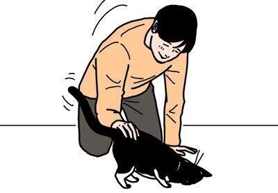 男の猫道に関する記事一覧｜ねこのきもちWEB MAGAZINE