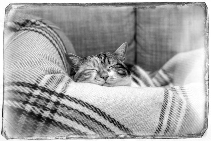 画像/iStock、Getty Images Plus