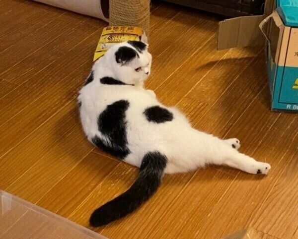 遊び終わって自ら脱出する丸之助くん