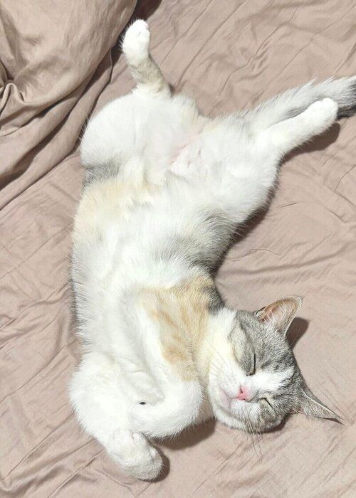 ベッドで眠る彩春ちゃん