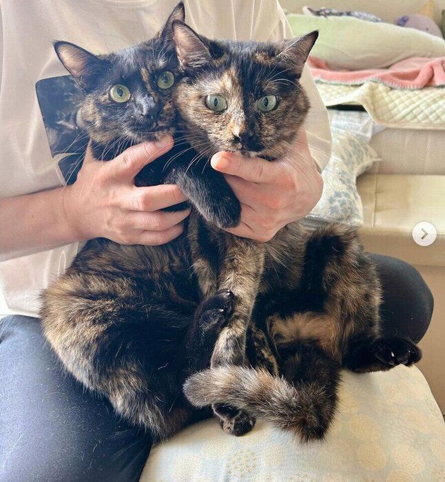 お迎えから3年後の2匹