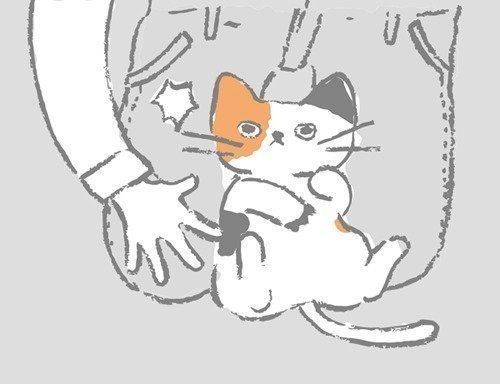 乳がん ねこ