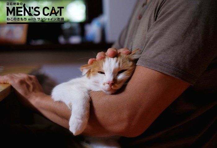 ねこのきもち 空前絶後のMEN'S CAT