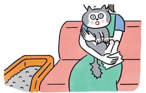 イラスト/ネコポンギポンギ
