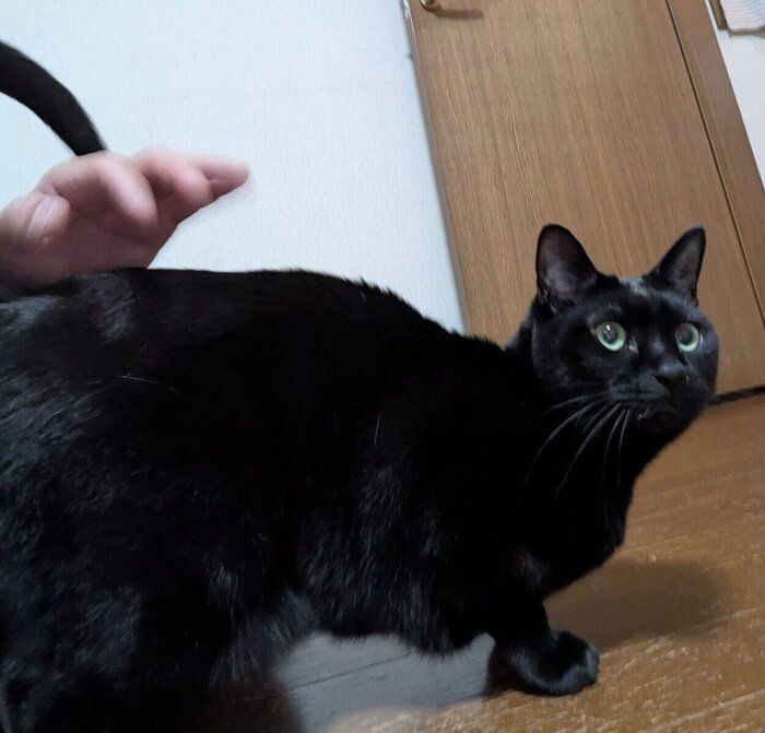 おしりを叩いてもらうのが好きなもなかくん