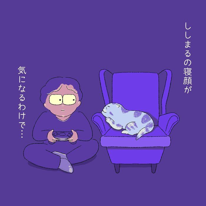 @tacos_cat