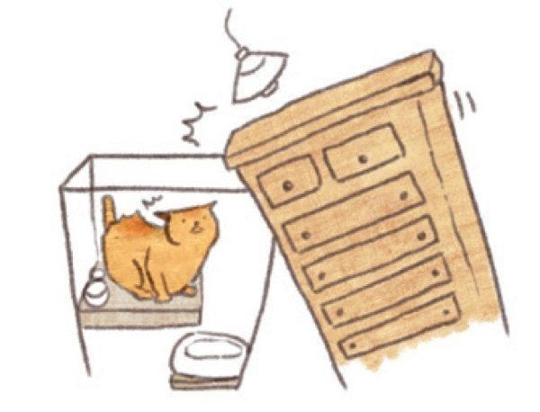 猫のケージのメリットと慣れさせ方