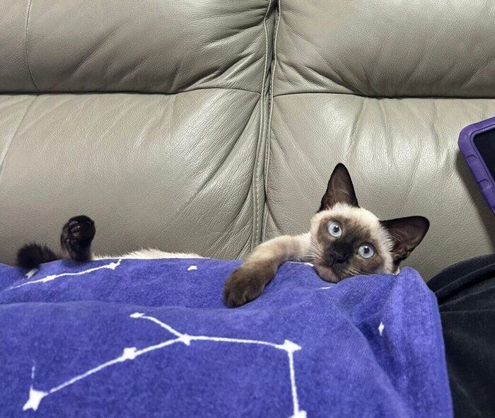 まったりする、るるちゃん