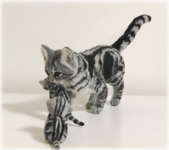 アメショの子猫もいた