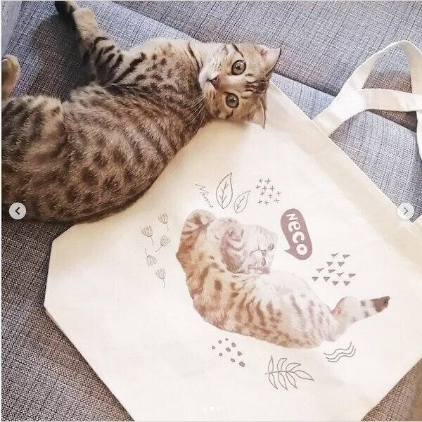 「nEcoバッグ」