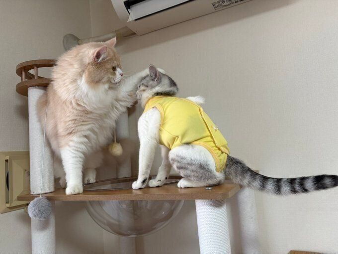 別の日の様子 この日も警戒されてしまったモモちゃん