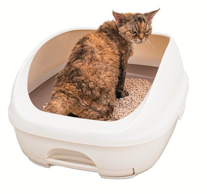 システムトイレ