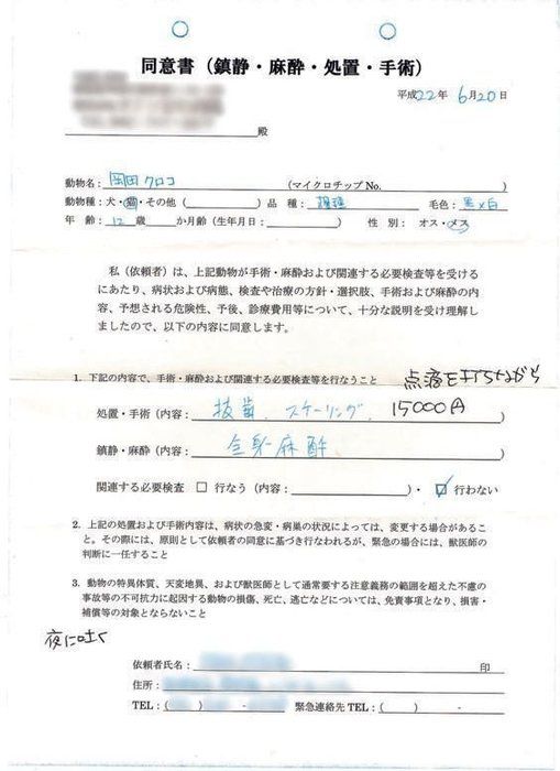 画像/2019年7月号『猫の病気、そこが知りたい!』