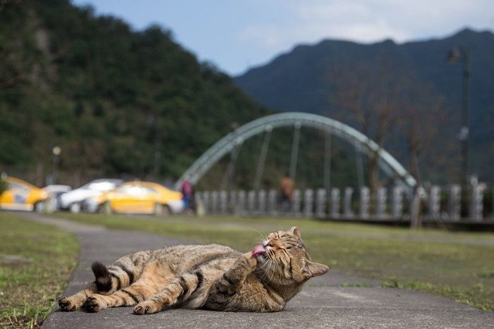 ©Masayuki Oki