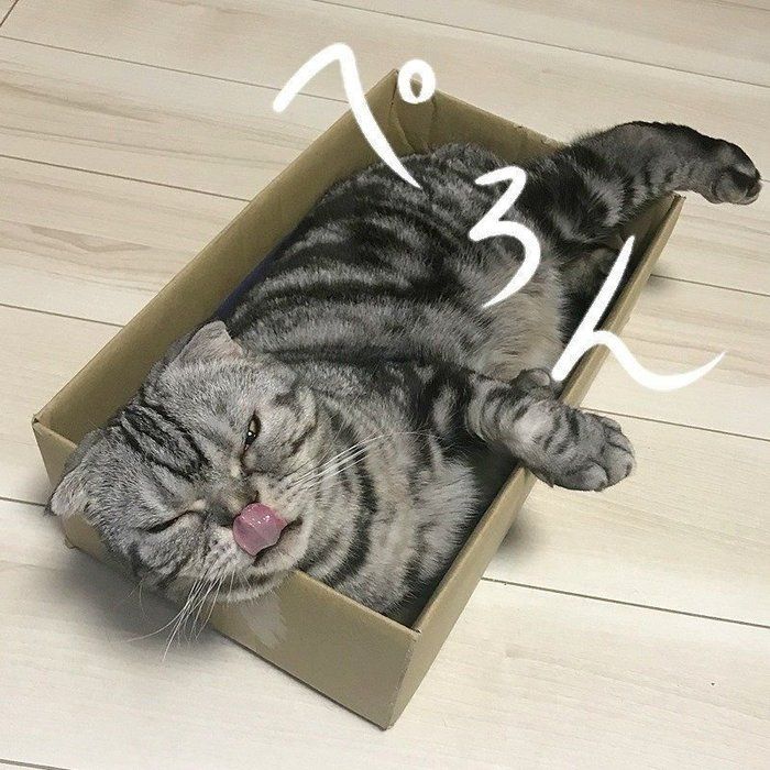 ぺろん