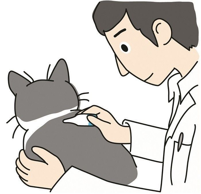 予防&治療法は?