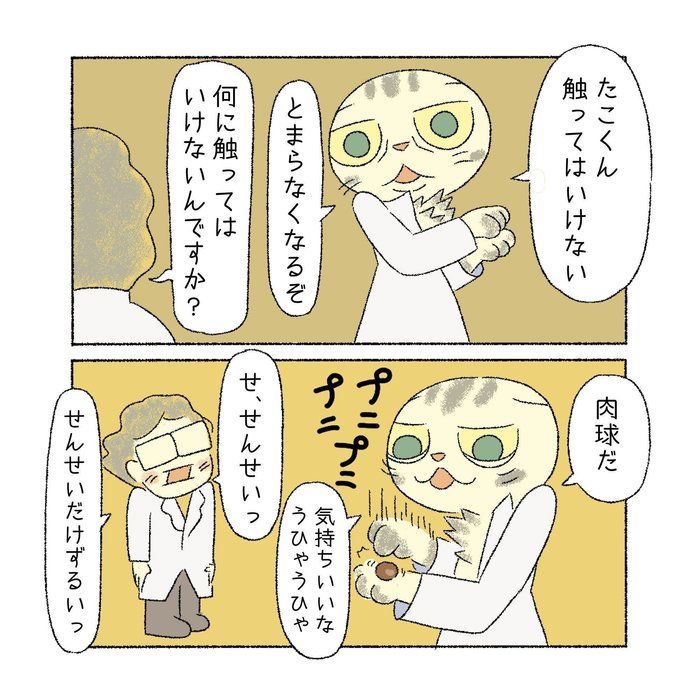 @tacos_cat