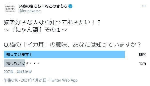 猫のイカ耳に関するアンケート結果