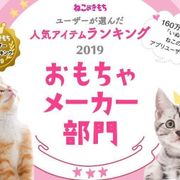 ランキングに関する記事一覧 ねこのきもちweb Magazine ランキングに関する記事一覧 ねこのきもちweb Magazine