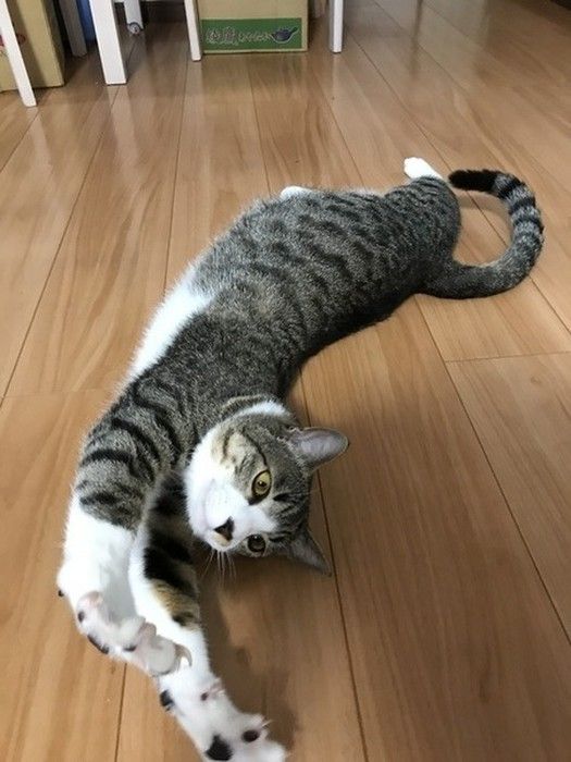 のびのびー