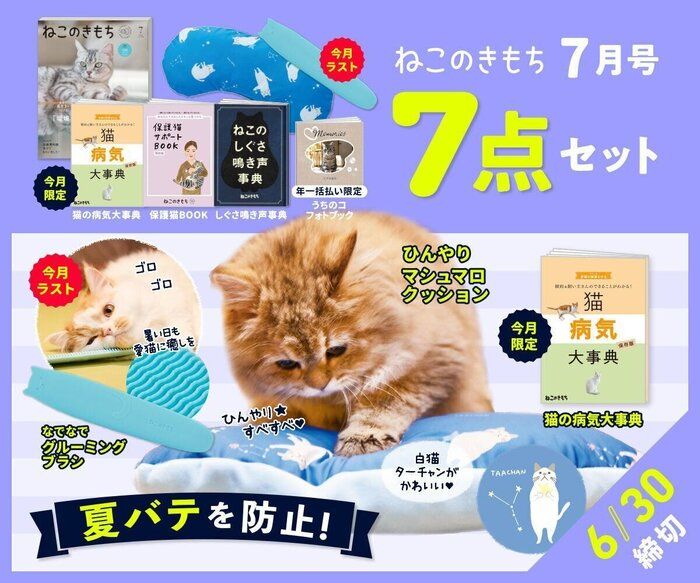 直送 Br Nr Sm オモイオomoio オムツっ子nr用身長計マット Br Nr Sm 個人宅配送不可 取替用身長計マット 取替用身長計マット 旧品番 C 0sm 測定器 工具のイーデンキ Br Nr Sm 直送 オムツっ子nr用身長計マット 代引不可 他メーカー同梱不可 個人宅配送