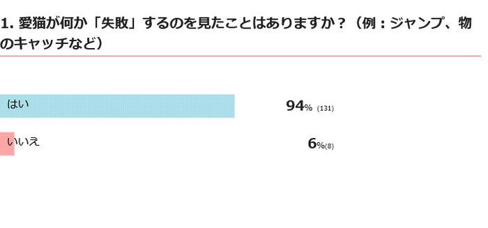 愛猫が失敗するのを見たことはある？