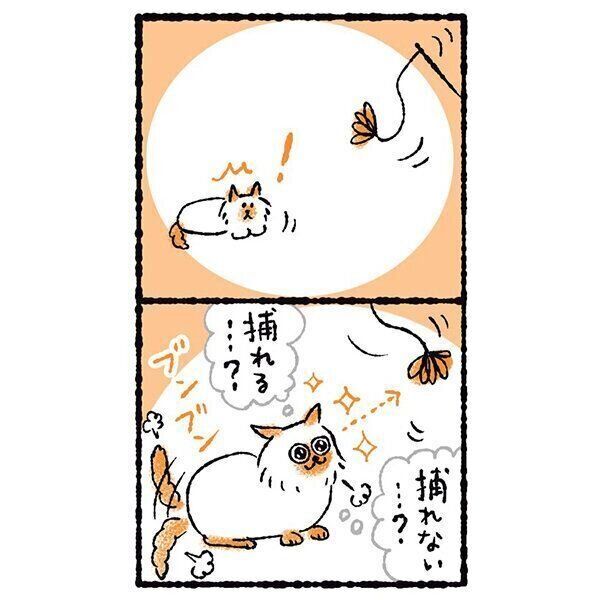 イラスト/simico