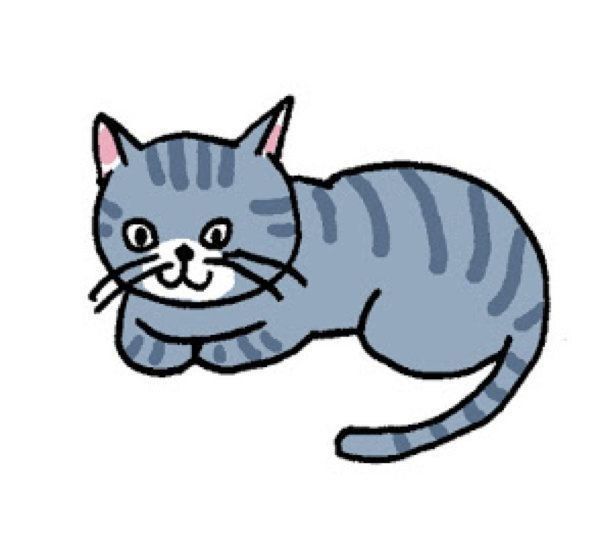 表情でわかる猫の気持ち