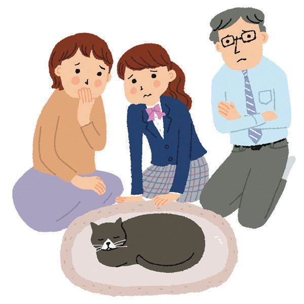 後悔しない愛猫との「最期の過ごし方」【愛猫のための終活】