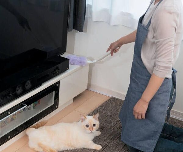 Okras7mwl63fum Okras7mwl63fum