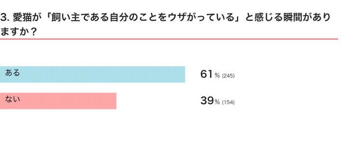 ねこのきもちWEB MAGAZINE 「猫あるある」に関するアンケートvol.03