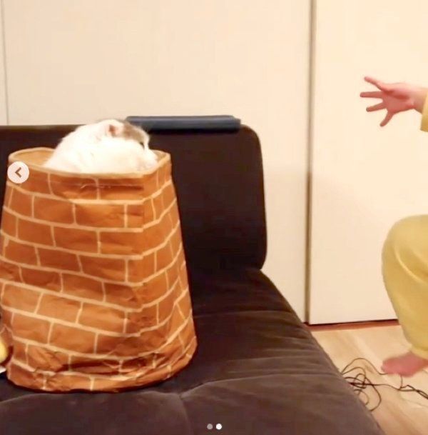 袋に入るライくんと追い出そうとする次男くん