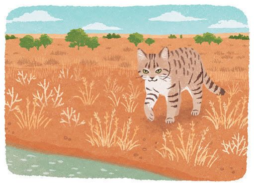遠くの水を飲みに行く猫 イラスト/shino