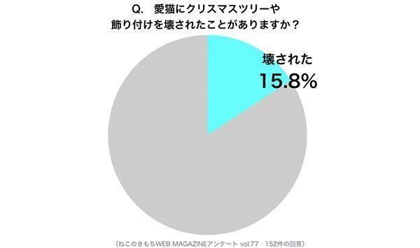 調査:愛猫にクリスマスツリーを壊されたことある?
