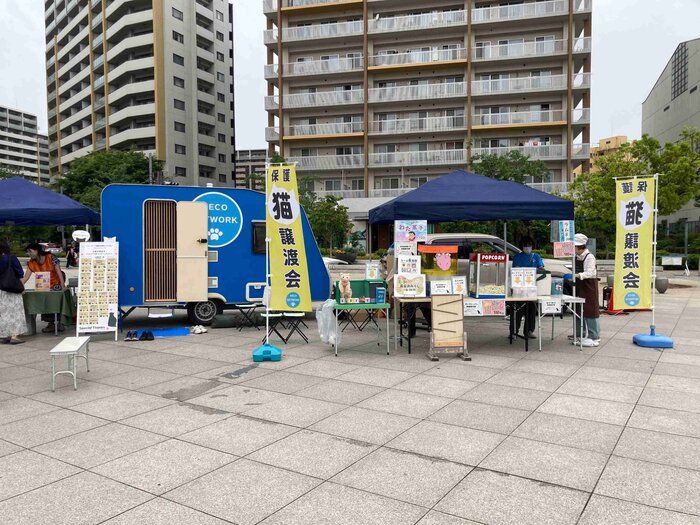 商業施設や公共施設など人が集まる場所に出張する「トレーラー保護猫譲渡会」は春と秋に数回ずつ開催中