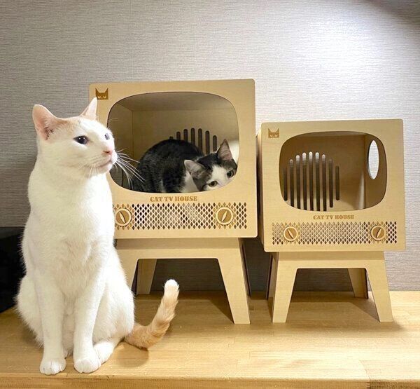 「レトロテレビのキャットハウス」