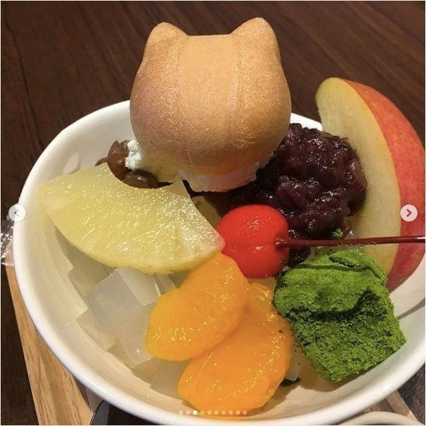 カフェ猫衛門