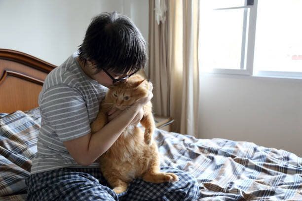 できるなら毎日ふわふわの猫に顔をうずめたい 猫吸い 中の猫の気持ちを獣医師に聞いてみた ねこのきもちweb Magazine