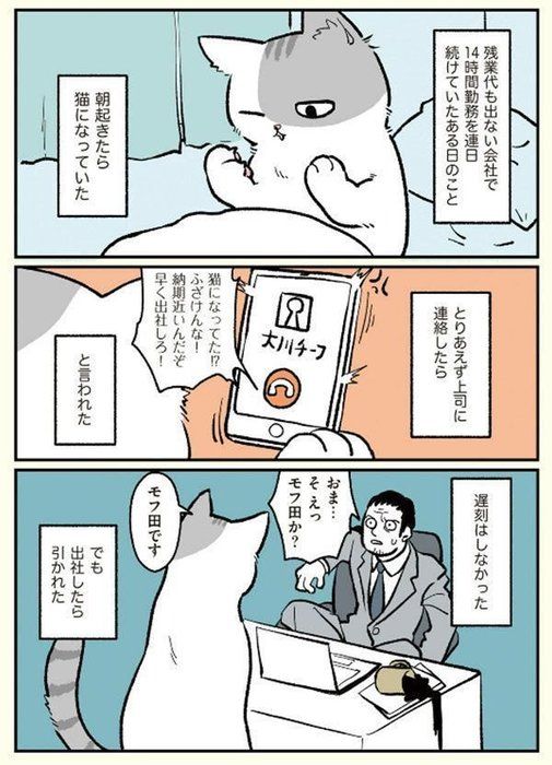 画像出典:Amazon