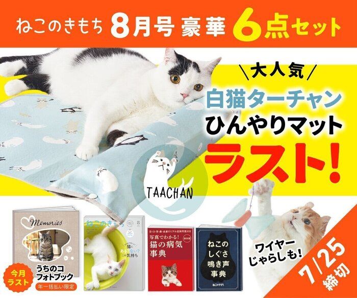 ねこのきもちweb Magazine それでもやっぱり猫が好き